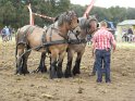 Holland 2016 (53)